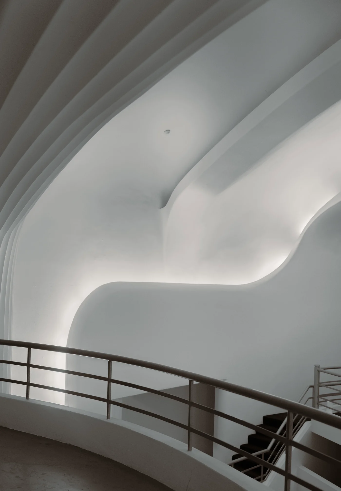 The curved plaster ceiling inside the Minerva auditorium, photographed in 2026